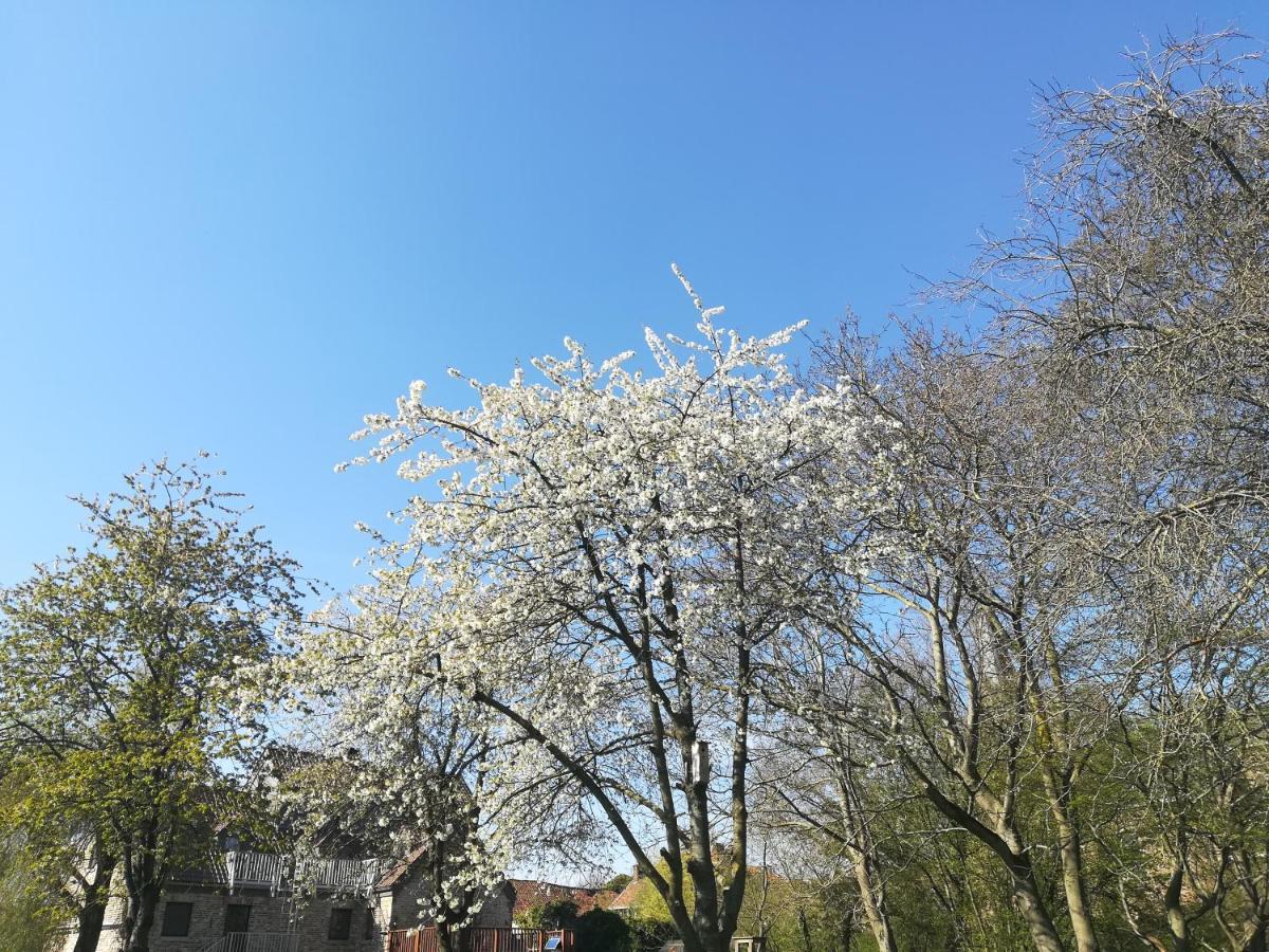 B&B De Dubbelmolen Tongeren Kültér fotó