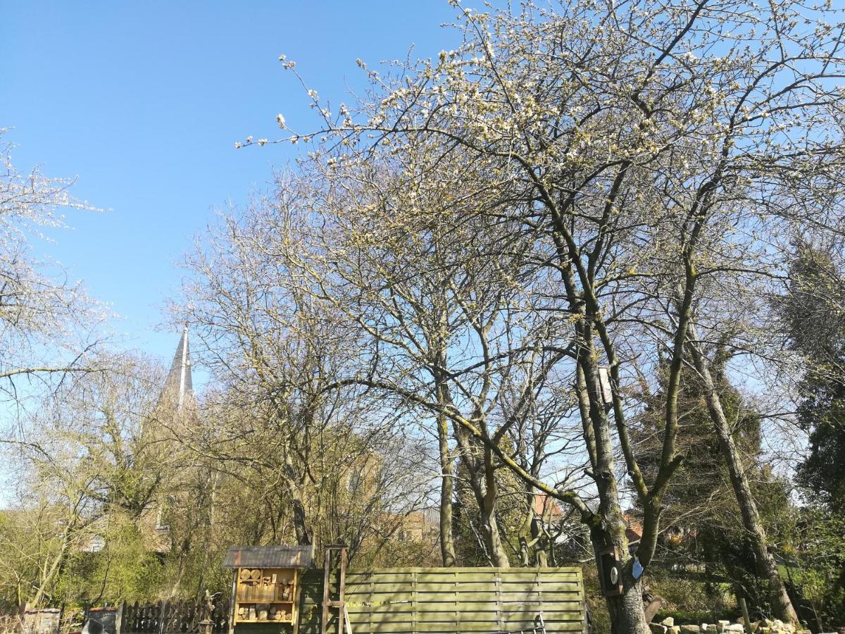 B&B De Dubbelmolen Tongeren Kültér fotó