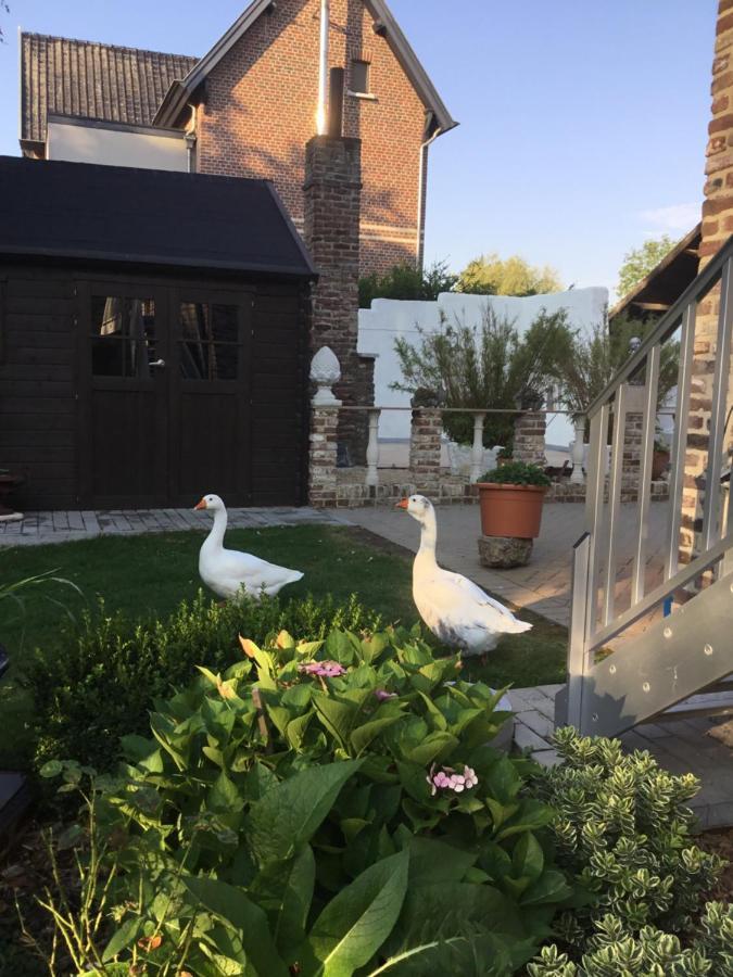 B&B De Dubbelmolen Tongeren Kültér fotó